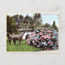 Recherche de époque cartes postales Unique