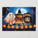 Recherche de hibou halloween invitations Animaux