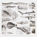 Search for marine biology stickers Zoology
