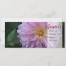 Recherche de fouille vœux cartes Félicitations