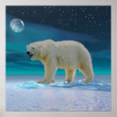 Search for abstract bear art Contemporary