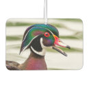 Recherche de canard voiture accessoires Animal
