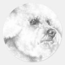 Recherche de portrait de chien autocollants Portraits