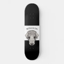 Search for laboratory skateboards Dog