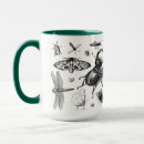 Search for entomology mugs Zoology