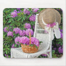 Search for azalea Garden