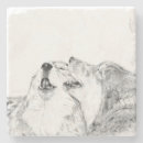 Search for timber wolves Canis lupus