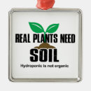 Search for vegetables ornaments Plants
