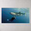 Search for scuba diving art Nature