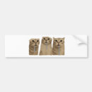 Search for meme bumper stickers Funny