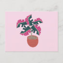 Search for variegated Tropical