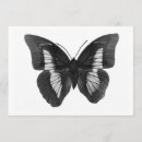 Search for black wings invitations Butterflies
