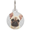 Search for french bulldog pet supplies Breed