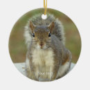 Search for small rodents ornaments For kids