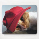 Recherche de chat orange et blanc tapis souris Chaton