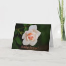 Search for peachy cards Rose