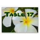 Search for hawaii hawaiian table cards Flowers