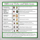 Recherche de diagramme posters Éducation