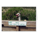 Search for ostrich photography Ostriches