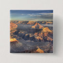Search for grand canyon buttons Nature