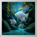 Search for angelfish art Underwater