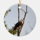 Search for osprey ornaments Birds