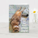 Search for upside cards Funny