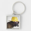 Search for bizarre keychains Animal