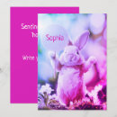 Search for easter friend Rabbit