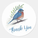 Search for bluebirds stickers Bird lover