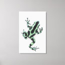 Search for darts canvas prints Full length