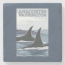 Search for whales coasters Orca