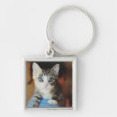 Search for and by parts keychains Kitten