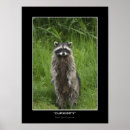 Search for christmas racoon art Raccoon