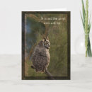 Search for wise old owl cards Humour