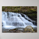 Search for early spring posters Photography