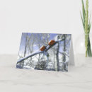 Search for ladybug christmas cards Snow