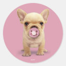 Search for pacifiers stickers Cute