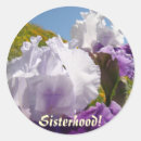 Search for sisterhood stickers Sisters