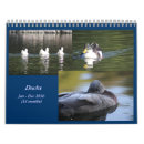 Search for duck calendars Animal
