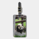 Recherche de panda bagages étiquettes Animal