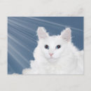 Search for pet loss postcards Sympathy