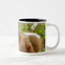 Search for back yard mugs Full length