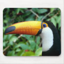 Search for beaked mousepads Toucan