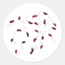 Search for bacterium stickers Science