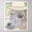 Recherche de peinture lama posters Llama