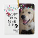 Recherche de funny ornements Chien