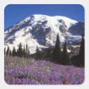 Search for washington travel stickers Scenic