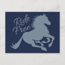 Search for horse sports postcards Riding