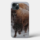 Search for three animals ipad cases Colour image